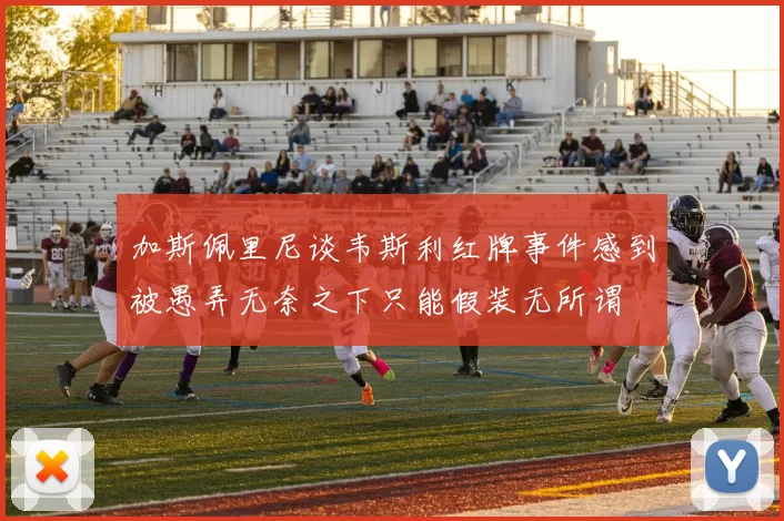 加斯佩里尼谈韦斯利红牌事件感到被愚弄无奈之下只能假装无所谓